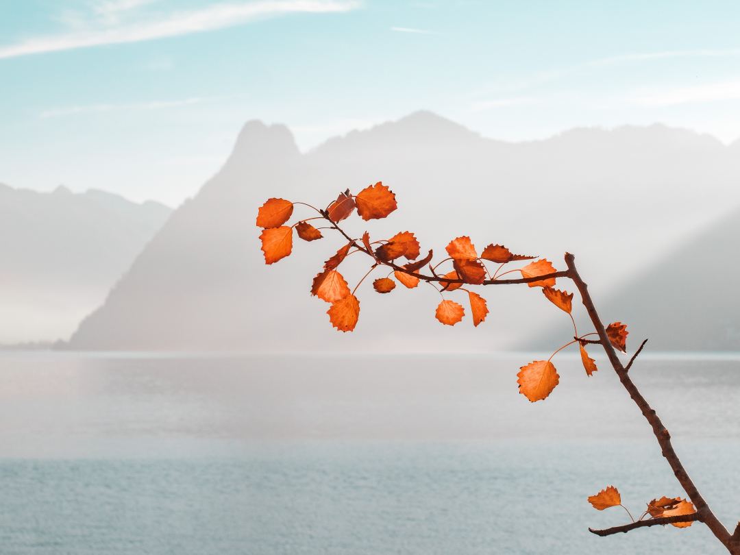 員工更希望領(lǐng)導(dǎo)能夠激勵(lì)他們,而不是打擊他們