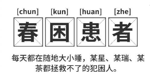 福利plus|打工人續(xù)命指南：提神零食清單+5分鐘暴汗操，一鍵領(lǐng)?。? title=